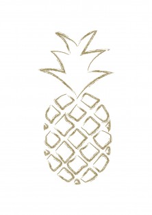 Wenskaart "Pineapple"