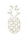 Wenskaart "Pineapple"