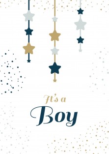 Geboortekaartje It's a boy