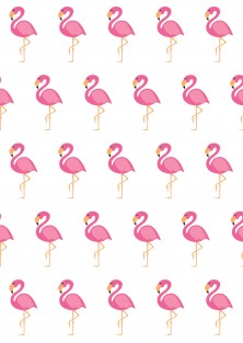 Pakket van 10: Wenskaart "Flamingo"